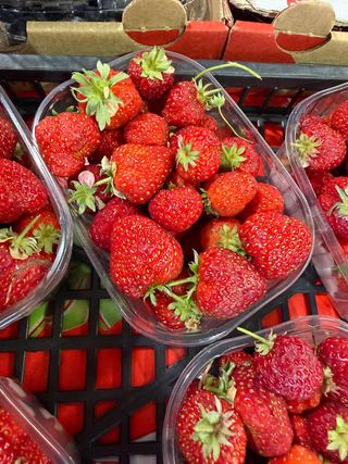 Fragole favetta di terracina 300 g