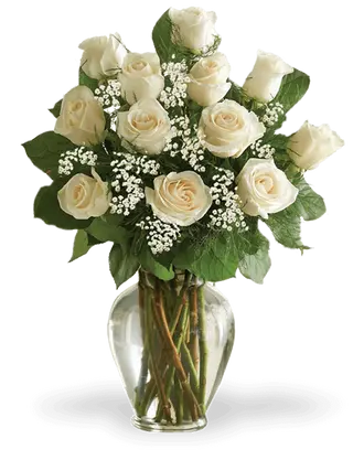 11 Rose bianche