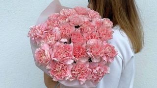 Bukiet różowych goździków - 25 szt