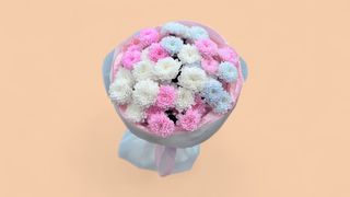 ჰოლანდიური ქრიზანთემების მიქსი