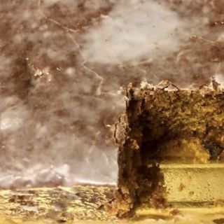 Bizcocho Zanahoria (250 G.)