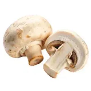 Грибное рагу