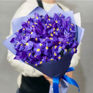 Букет із 25 фиолетових ірисів