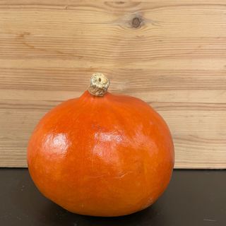 Zucca hokkaido al pz 