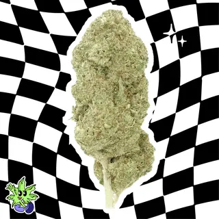 White Melon - 1G