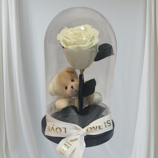 Vjecna ruza bijela sa medom...u zvonu