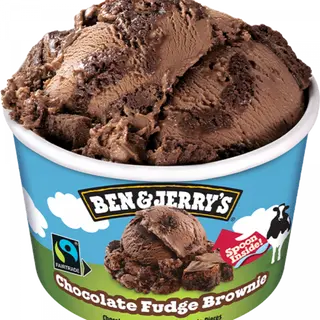 Ben & Jerry's Chocolate Fudge Brownie 100ml