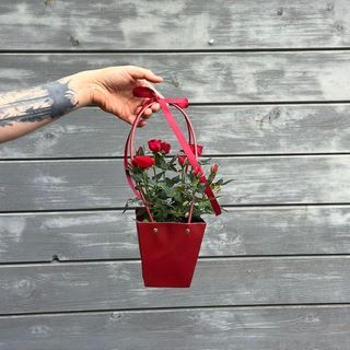 Koszyczek z roślinką doniczkową