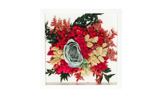 Silk Dry Flower Okviri