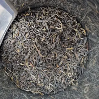 Jasmin