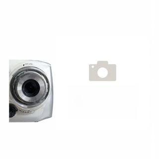 124. Пържен ориз с пилешко (700г)