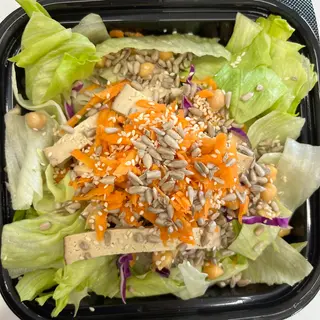 Vege salata-posna