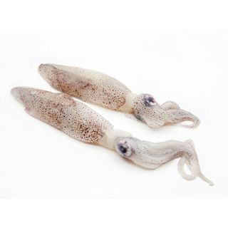 Txipiron Fresco (Aprox. 1 Kg.)