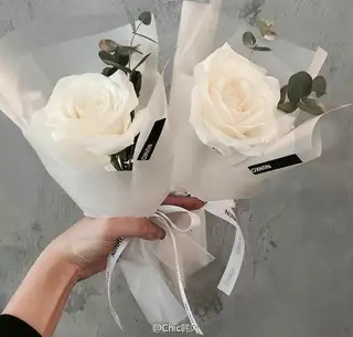 Rosa Blanca (1 Ud.)