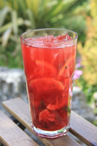 Айсти вишня-бергамот (450мл)