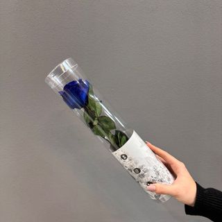 Una rosa corta ( azul ) preservada  