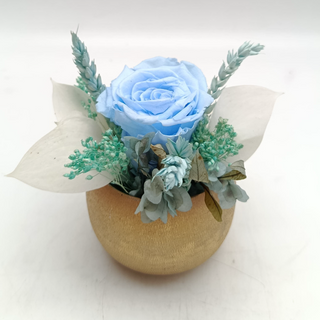 Trésor Eternel Bleu Ciel 