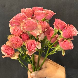 ramo ramificadas rosa 4 ud.