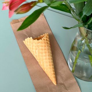 Cone Simples Vegan & S/ Glúten