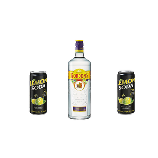 Gin Lemon Gordon kit