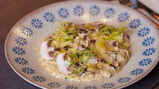 Rižoto sa divljim pečurkama