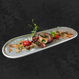 Октопод на скара