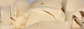 Nocciola