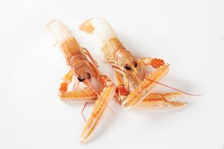 186. Nigiri scampo  - 2 pezzi