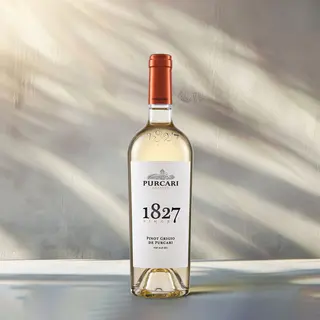PINOT GRIGIO DE PURCARI