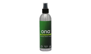 ONA Spray - Apple Crumble 250 მლ