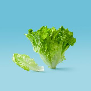 Lechuga