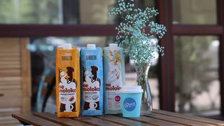 Флэт уайт на альтернативном молоке (250мл)