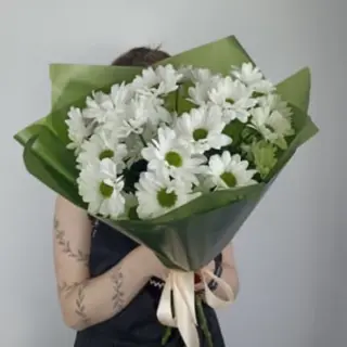 ჰოლანდიური ქრიზანთემები
