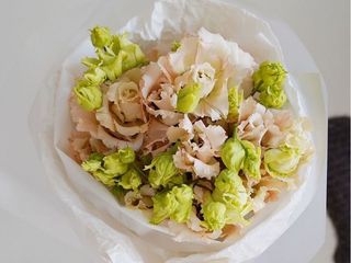 Eustoma