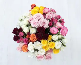ჯუჯა ვარდები (5ტოტი)