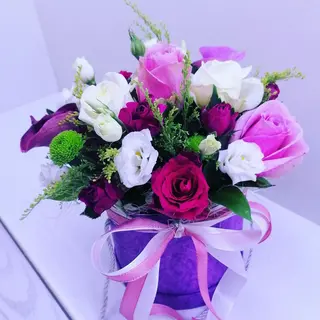 Cutie mix 18