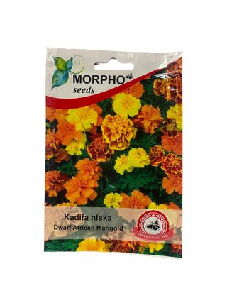 Sjeme cvijeća Kadifa niska