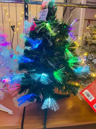 pinus artificiale