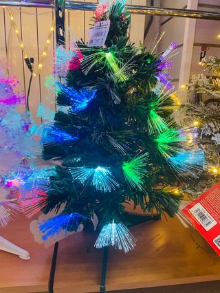 pinus artificiale