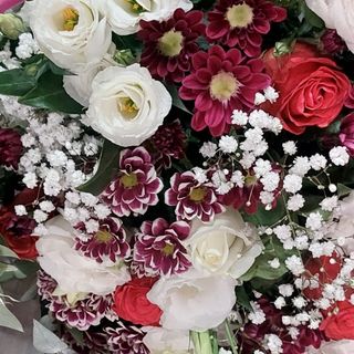 Rosa arancione astronomia colorato campo colorato anche lisianthus