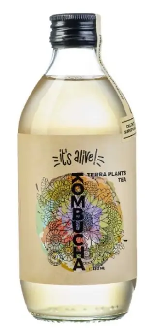 Kombucha Terra Plants Tea 0.5