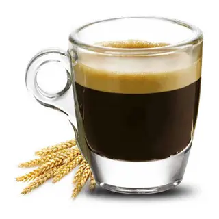 Orzo