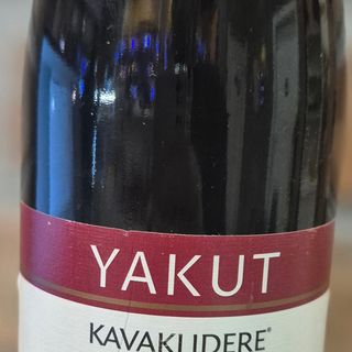 Yakut Kavaklidere
