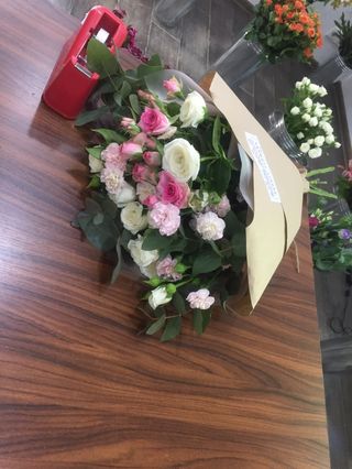 ჯუჯა ვარდი ევკალიპტი ჯუჯა მიხაკი