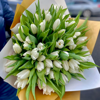 Buchet de lalele albe 