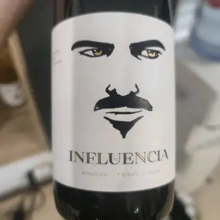 Influencia tinto  D.O Terra Alta  ( botella )