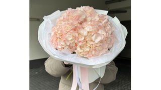 Bukiet 5 jasnoróżowych hortensji