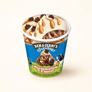 B&J  Marshmallow & S'more