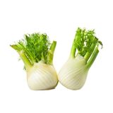 Finocchi 1 kg