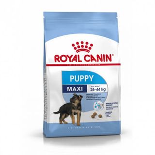 ROYAL CANIN CHIEN MAXI PUPPY 4KG-759910-